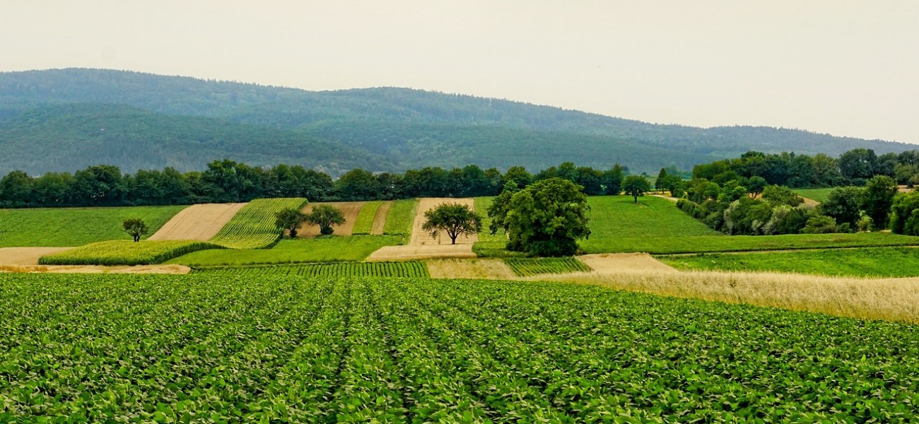 Conférence sur le bail à ferme en Wallonie