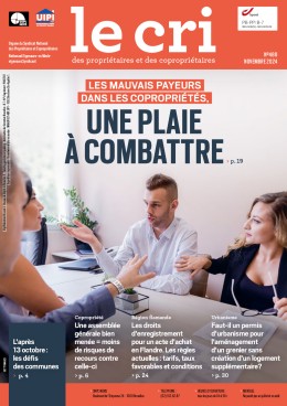 Le CRI n°488 - Novembre 2024